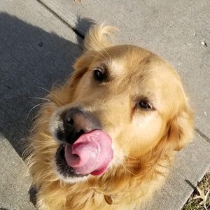 Meet your Posher, Dana